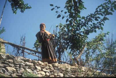 bambina cafira