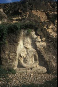 budda tagliato ridotto