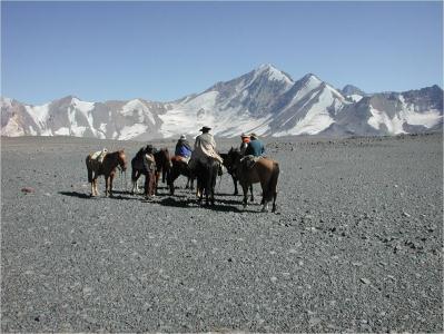 cavallo