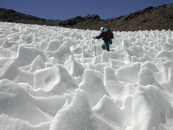 penitentes