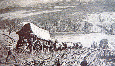 boeri
