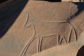 marocco 156