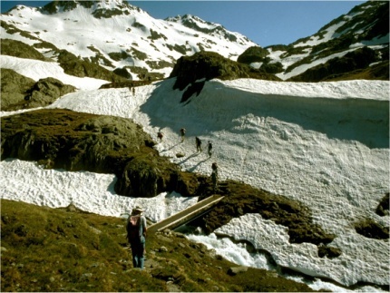 gran san bernardo