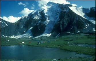 cima vergine tagliata