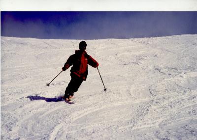telemark